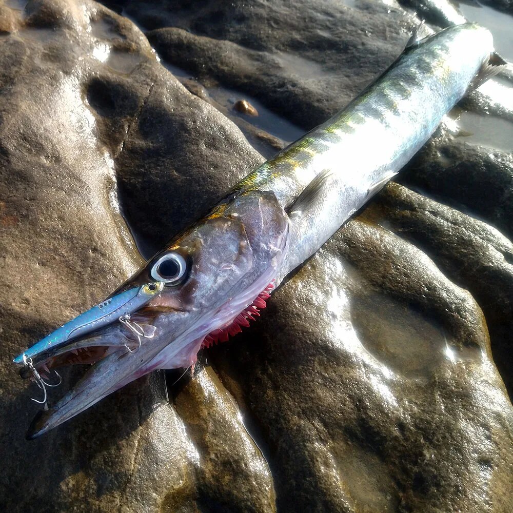 GOBAIT VIB 낚시 미끼 20g 25g 30g 금 - Fishing Hook Treble 리뷰 및 가격